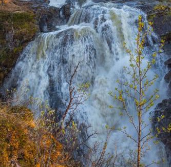Abisko House | Abisko Guesthouse & Activities