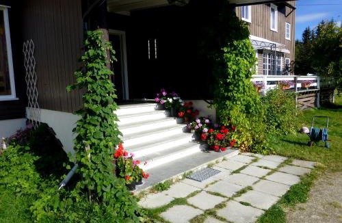 Alvdal Hostel | Tronsvangen Seter