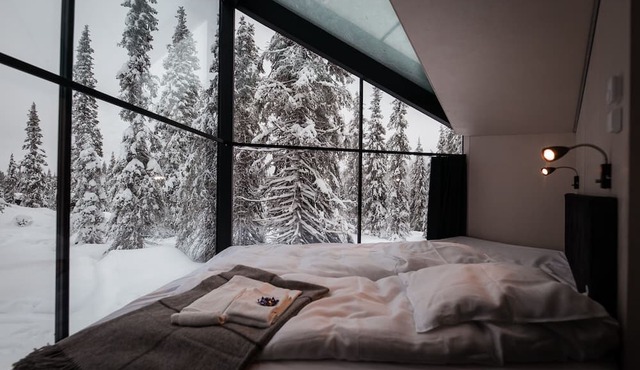 Magical Pond Nature Igloos in Rukatunturi