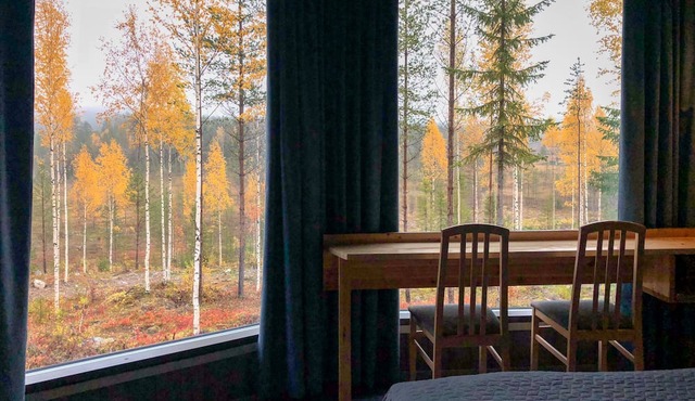 Bear Centre in Kuhmo