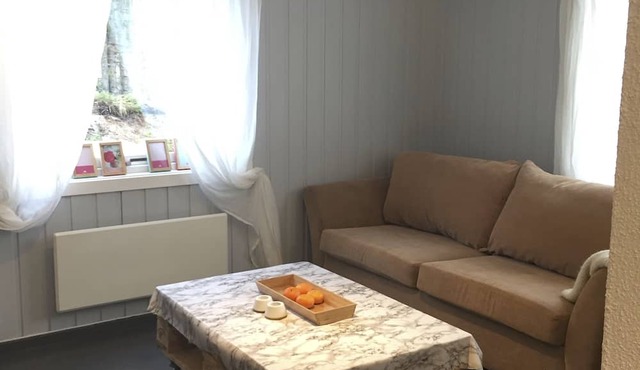 Koselig Hytte i Hemsedal in Hemsedal
