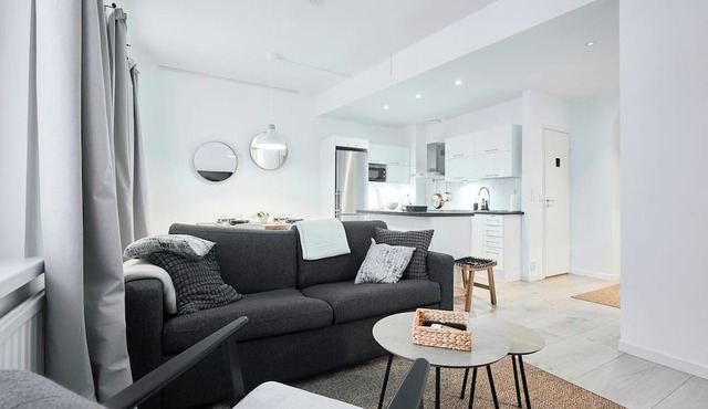 Modernized 1920s Apartment