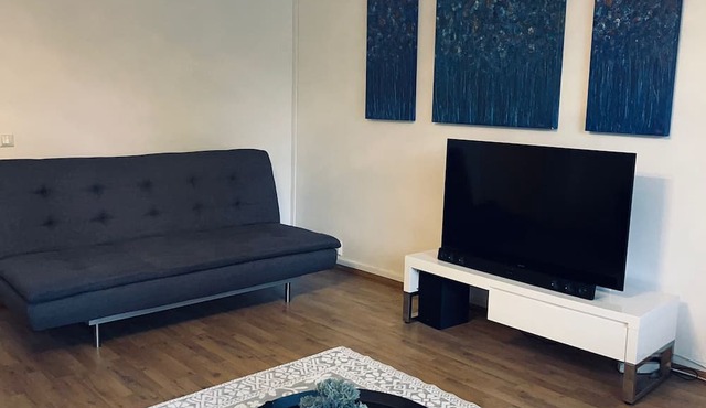 1BR Downtown Apartment with Balcony