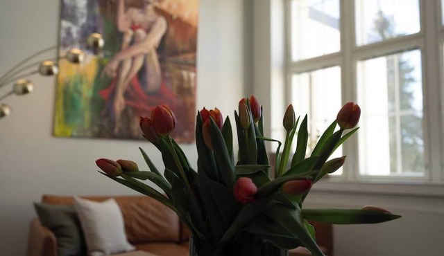 Historical 1BR Penthouse with Sauna in Kuopio