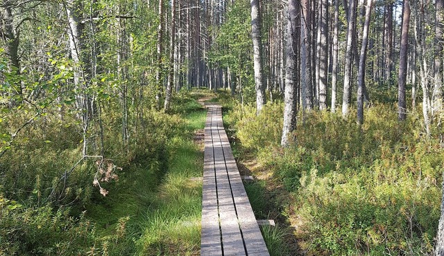 Cozy little cottage for couples on the island of Hailuoto near Oulu, Finland. in Hailuoto