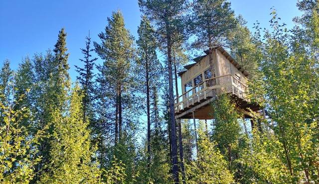 Aurora Lodge