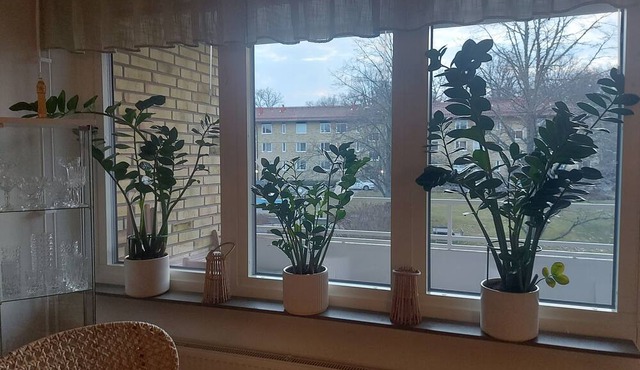 Feel Like Your own Home