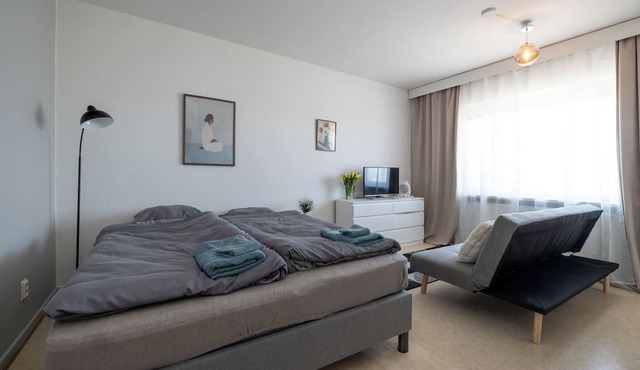 Stylish Studio Apt in Kemi
