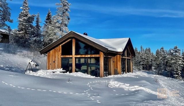 New and Modern Cabin at Norefjell