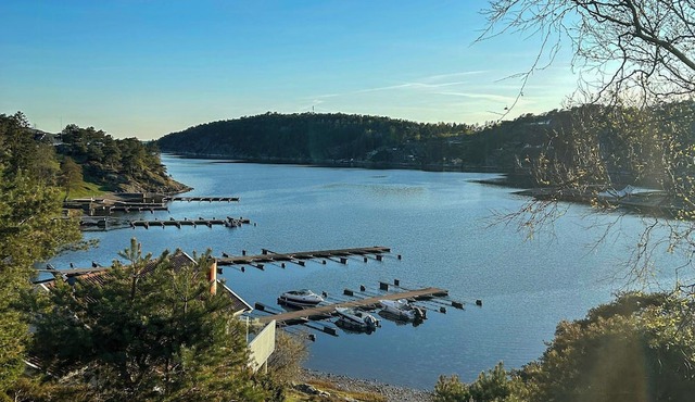 Bright cabin with nature plot by the Oslofjord