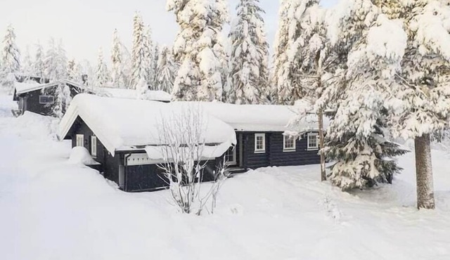 Cabin with panoramic views over Trysil