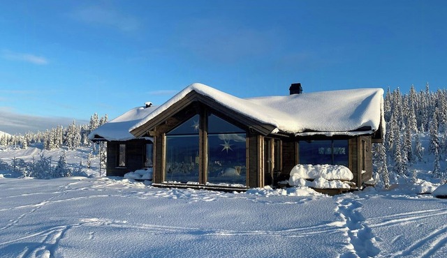 Modern luxury and homely vibe in Flå