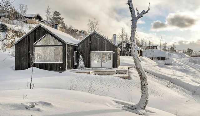 Modern cabin in harmony with nature