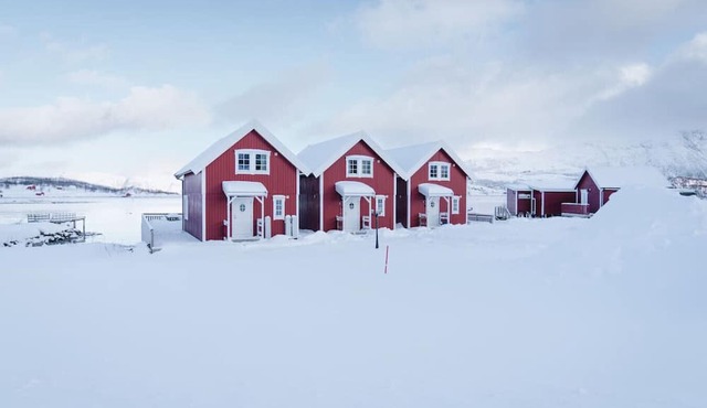 Seaside Cabins Near Tromsø | Northern Lights Views