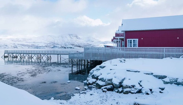 Seaside Cabins Near Tromsø | Northern Lights Views