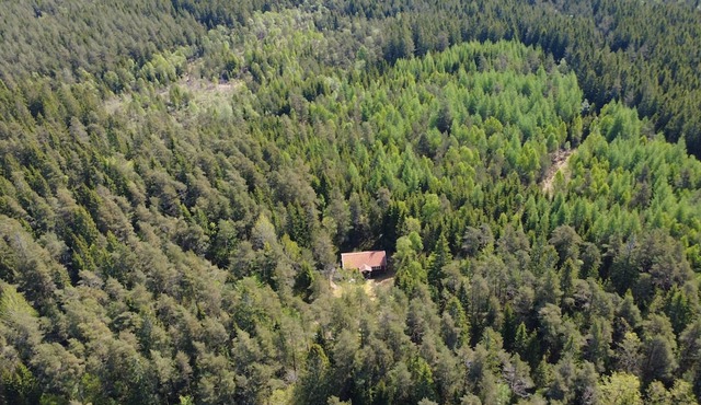 Stuga Rödhak – Cozy Swedish Cottage in Secluded Forest Location in Småland