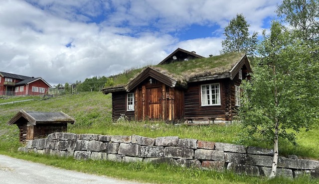 Mountain cabin 3 in Ål with Sauna