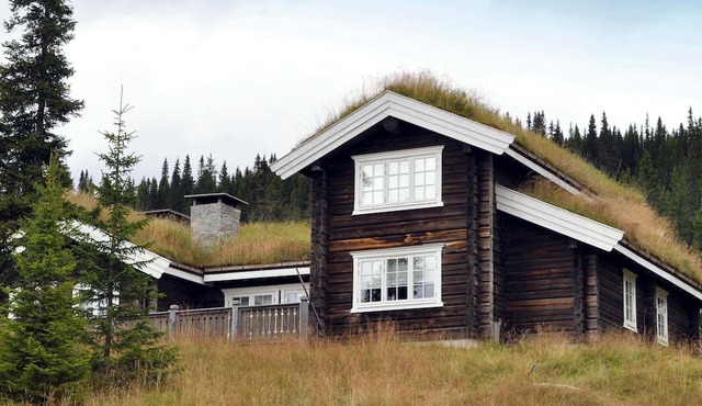4 star holiday home in Fåvang