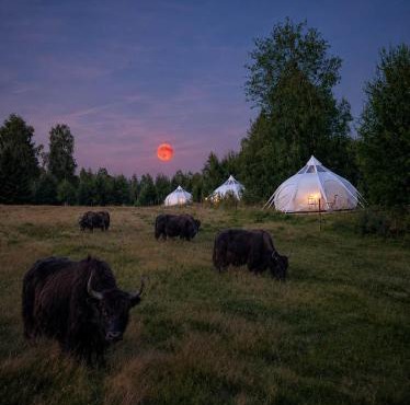 Ember | En lyxig vildmarks retreat