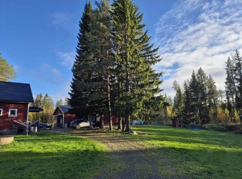 Waldidyll in Jämtland - Ruhe und Natur pur in Faker