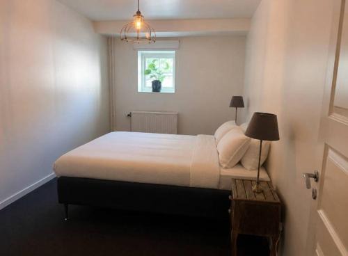 Spacious City Center Apartment in Visby, Sleeps 7