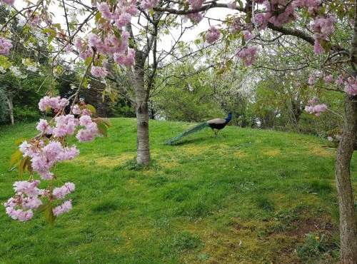 Dugneberg in Karmøy
