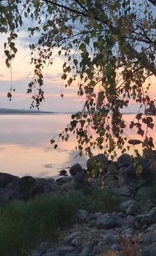 Villa Bagari, Niemenkartano in Kontiolahti