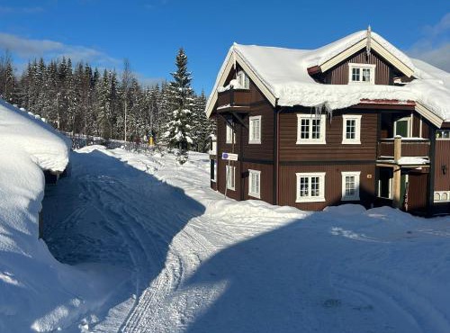 Ski-in out Trysil 3BR, 8 Guests, Garage, WIFI & Sauna in Trysil