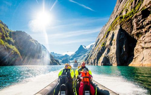 Astra Whale - Waterfront Boutique Hostel in Lofoten