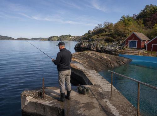 New Nordic Villa Sunset Views Fishing Near Bergen