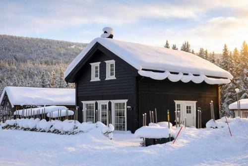 Cabin in Uvdal with ski trails on the doorstep in Uvdal