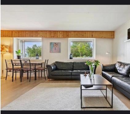 Apartment in exotic Malangen 60km from Tromsø in Laukeng