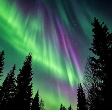 Luxury Lapland Aihki Retreat by Hilla Villas in Kolari