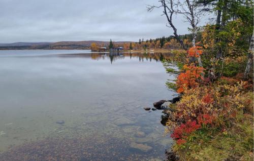 Pet Friendly Home In Ljungdalen With Sauna in Ljungdalen