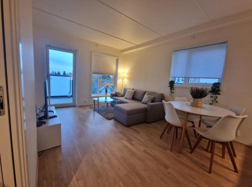 Mordern Apartment near Train, Shopping and Airport in Oslo