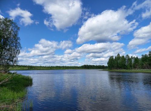 Andholmen in Ranea
