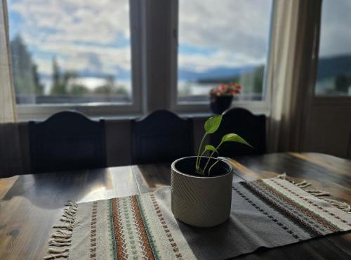 Romslig feriehus nær sjøen, mulighet for båt in Torjulvagen