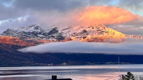 Arctic Dream II