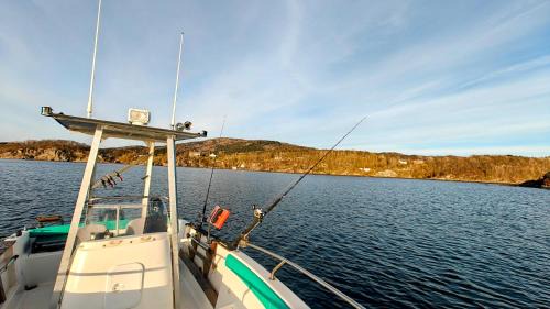 Great cabin by the sea, fantastic fishing area in Jøsen