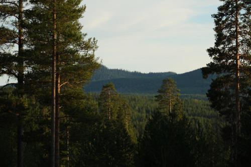 Nordic Soul Adventure Lodge