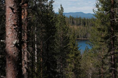 Nordic Soul Adventure Lodge