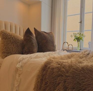 Apartment In The Heart Of Stockholm