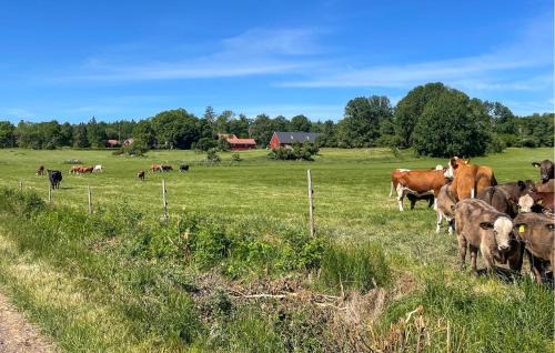 Awesome Home In Blackstad With Wifi