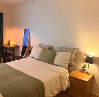 One-room Apartment in Gothenburg