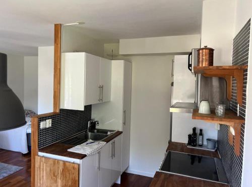 New Luxurious Cozy Furnished Apartment
