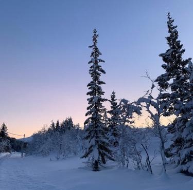 Bergnes Lodge in Senja