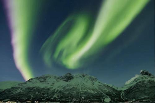 Seaview apartment between Lyngen Alps and Tamok in Storfjord