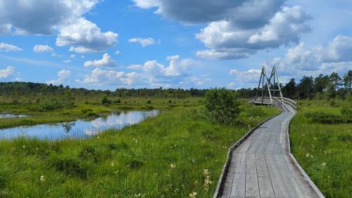 Schwedisches Waldcottage Fluss & Wanderwege