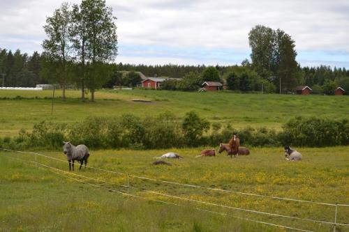 Rantakorpi Farm