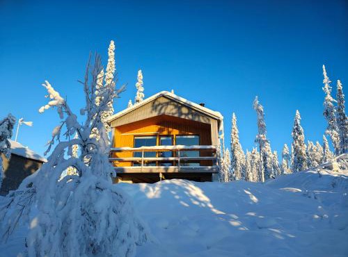 Peaceful Cabin with Hot Tub and Nature Views, Villa Lakeside Ruka in Ruka